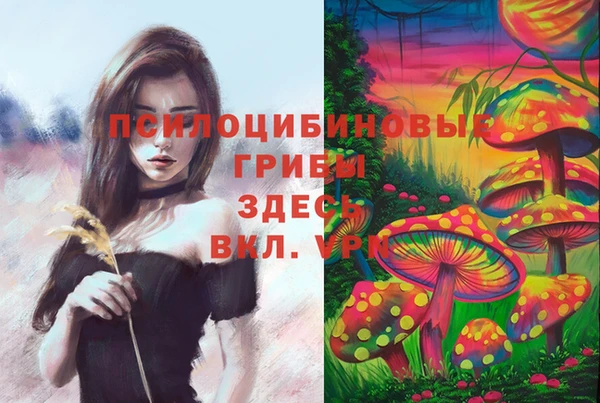 MESCALINE Вяземский