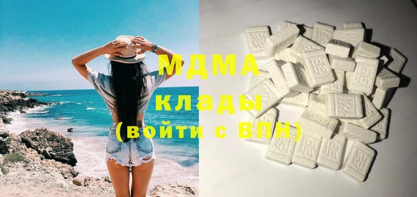 гашик Няндома